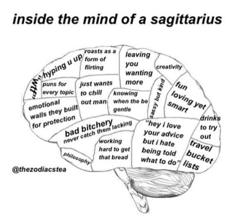 Brain Parts, Horoscope Memes, Zodiac Traits, Gemini Facts, Brain Power, How To Get Sleep, Fake Love, Horoscope Signs, Zodiac Quotes