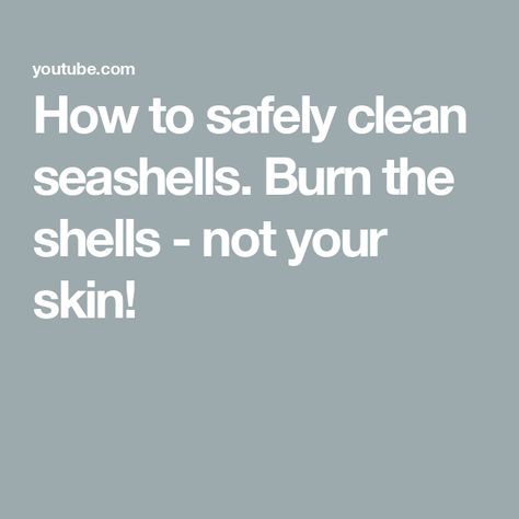 How to safely clean seashells. Burn the shells - not your skin! How To Clean Seashells, Clean Seashells, Cleaning Sea Shells, Shark Tooth Hunting, Shark Tooth, Seashell Crafts, Shark Teeth, Sea Shells, Your Skin