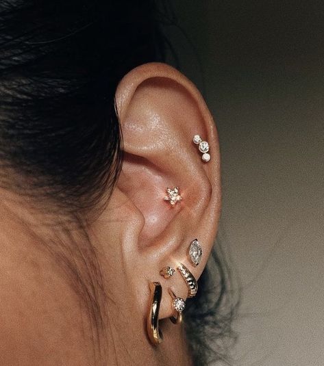 Inner Conch Earrings, Inner Cartilage Piercing, Conch Tragus Helix Piercing, Eat Piercing Curation, Crunch Piercing, Ear Conch Piercings, Conch Stud Jewelry, Stud Conch Piercing, Conch Jewelry Studs