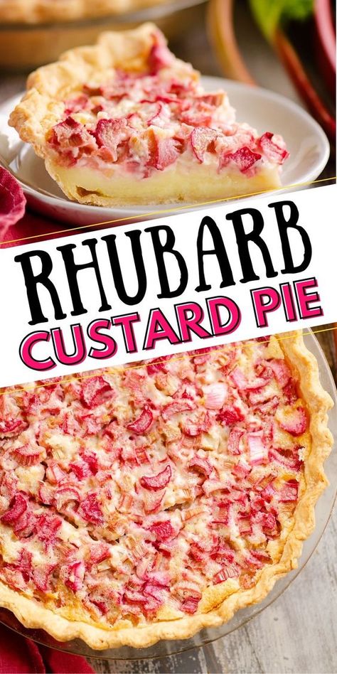 Easy Rhubarb Recipes, Rhubarb Custard Pie, Rhubarb Desserts Recipes, Best Rhubarb Recipes, Rhubarb Custard Pies, Rhubarb Recipes Pie, Rhubarb Coffee Cakes, Custard Pie Recipe, Rhubarb Custard