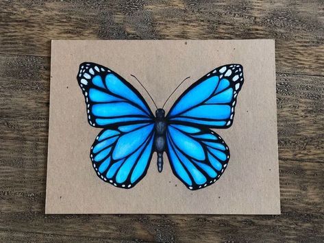 Butterfly Drawing Images, Butterfly Art Drawing, Prismacolor Art, Butterfly Art Painting, Canvas Painting Designs, Butterfly Drawing, Butterfly Painting, Diy Canvas Art Painting, Color Pencil Art