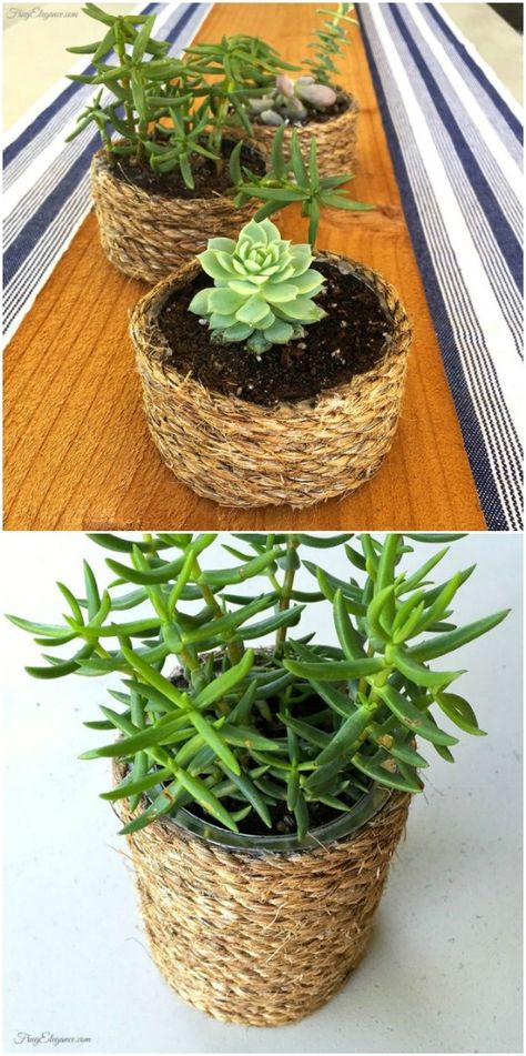 Rope Wrapped Succulent Planters - 20 Frugally Genius Ways To Upcycle Empty Tuna Cans Palet Deck, Rope Wrapping, Tuna Cans, Recycled Cans, Shabby Chic Candle Holders, Tuna Can, Tin Can Art, Diy Nativity, Aluminum Can Crafts