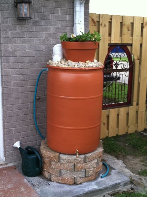 Rain Barrel Art, Rain Barrell, Pretty Rain Barrel Ideas, Rain Barrel Decorating Ideas, Rain Barrel Ideas, Diy Rain Barrel, Rain Water Barrel, Rain Barrel Stand, Rain Barrel System