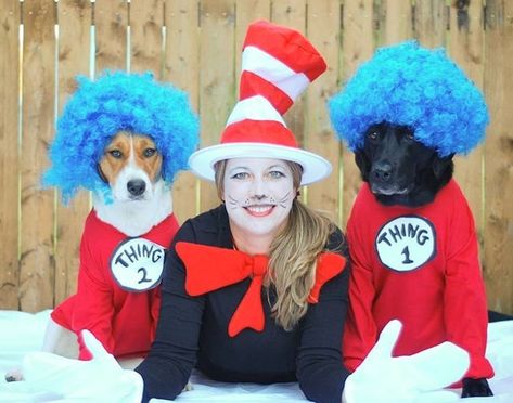 Matching Pet Costumes, Pet And Owner Costumes, Costume Duos, Cats In Halloween Costumes, Dog And Owner Costumes, Puppy Halloween Costumes, Pet And Owner, Matching Halloween Costumes, Become Popular