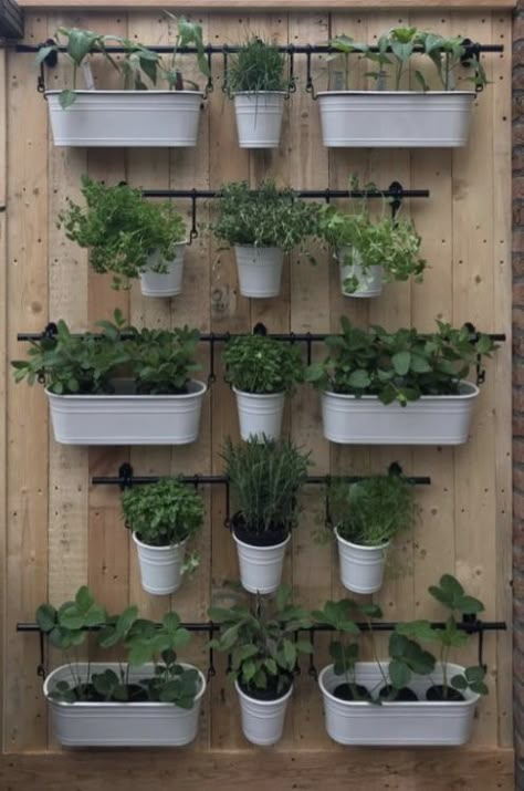 Hanging Herb Gardens, Herb Garden Wall, Herb Garden Ideas, Outdoor Herb Garden, Herb Wall, Vertical Garden Design, Hanging Herbs, Vertical Garden Wall, Vertical Gardens