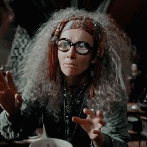 Trelawney Harry Potter, Professor Trelawney Aesthetic, Sybill Trelawney Aesthetic, Trelawney Aesthetic, Sybil Trelawney, Professor Trelawney, Sybill Trelawney, Harry Potter Plush, Books 2022