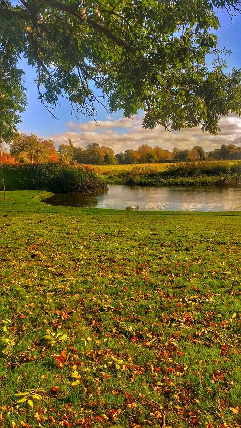 Suffolk UK Autumn Aesthetic Landscape, Autumn Landscape Aesthetic, Autumn Aesthetic Nature, Landscape Fall Wallpaper, Autumn Aesthetic England, Autumn Gardening, Autumn View Landscapes, Story Ideas Pictures, Uk Photography