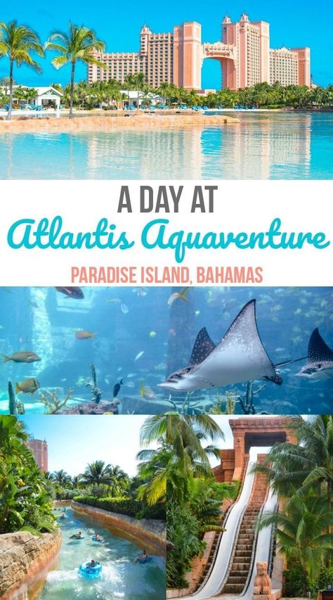 atlantis day pass experience paradise island bahamas Bahama Vacation, Bahamas Eleuthera, Atlantis Aquaventure, Atlantis Resort Bahamas, Bahama Cruise, Las Bahamas, Bahamas Trip, Bahamas Honeymoon, Paradise Island Bahamas