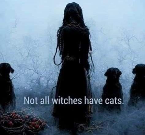 Witch Dog, Witch Quotes, Witch Spirituality, Witchcraft Spell Books, Magical Life, Witch Spell Book, Baby Witch, Witch Magic, Wiccan Spells