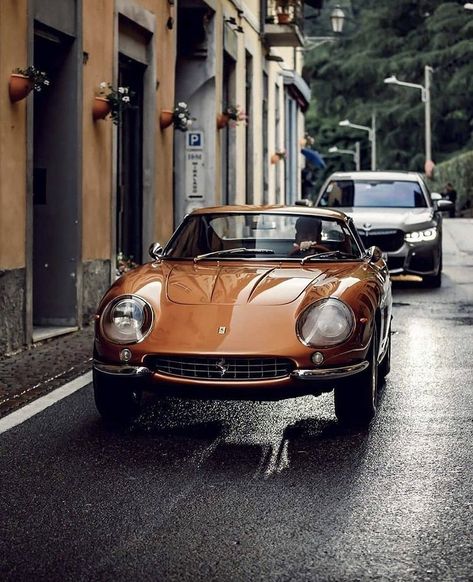 Ferrari 275 Gtb, 275 Gtb, Ferrari 275, Classy Cars, Pretty Cars, Italian Cars, Future Car, My Dream Car