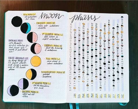 Moon Phases 🌒 Spread | Bullet Journal Amino 2023 Bujo, Dot Journaling, Journal October, Ghoul Quotes, Bullet Journal October, Boho Berry, Journal Things, Cycle Tracker, Bullet Journal Month