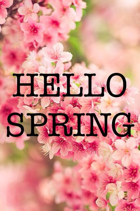 Hello Spring & what a glorious day you have put on for us here in the land of Oz Hairstyles Halloween, Hairstyle Hacks, Frühling Wallpaper, Glitter Roots, Halloween Hairstyles, Seasons Months, Spring Quotes, Hair Halloween, Spring Images