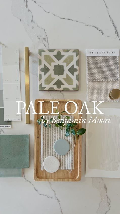 Tara Nelson | Pale Oak by Benjamin Moore. The perfect greige!🤍 Welcome to one of Benjamin Moore’s top sellers; the one and only Pale Oak. This… | Instagram Pale Green Benjamin Moore, Benjamin Moore Pale Oak Cabinets, Simply White Trim, Pale Oak Paint, Pale Oak Benjamin Moore, House Color Schemes Interior, Perfect Greige, Bedroom 2023, Pale Oak