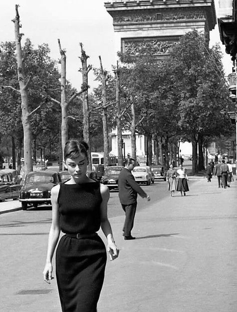 Audrey Hepburn Outfit, Hannah Taylor, Aubrey Hepburn, Audrey Hepburn Photos, Audrey Hepburn Style, Parisian Vibes, Hepburn Style, Black And White Photograph, Stil Elegant