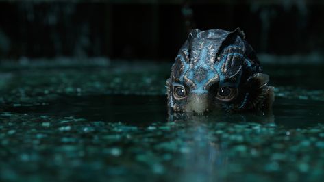 Shape Of Water, Doug Jones, The Shape Of Water, Water Aesthetic, Be With You Movie, Gabriel Garcia Marquez, Magic Realism, Blu Ray Movies, Film Serie