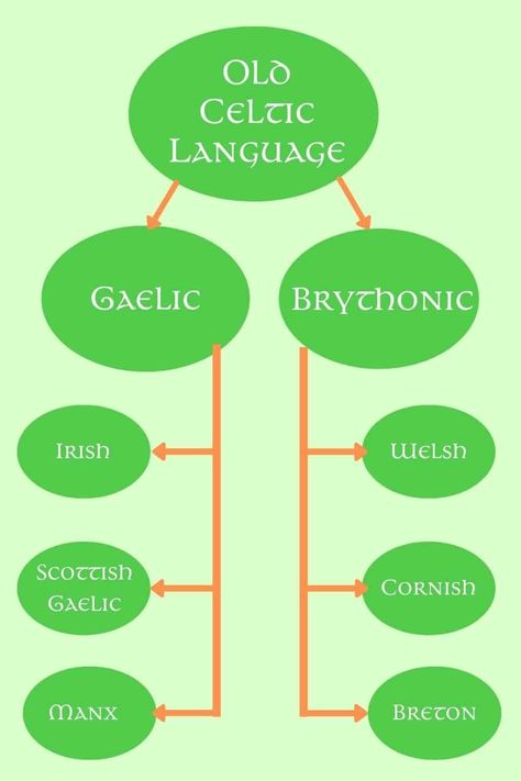 𝙅𝙤𝙨𝙝𝙪𝙖 𝙈𝙤𝙧𝙜𝙖𝙣 (@joshuwaamorgan) on Threads Irish Curse, Irish Gaelic Language, Celtic Language, Celtic Words, Irish Language, Irish Gaelic, Celtic Heritage, Scottish Gaelic, American Mom