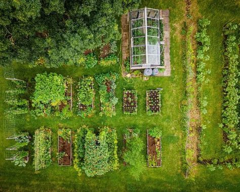 Veggie Garden Layout, Gardener Aesthetic, Swedish Farmhouse, Gardening Aesthetic, Design Backyard, Backyard Garden Layout, Garden Layout Vegetable, Allotment Gardening, Potager Garden