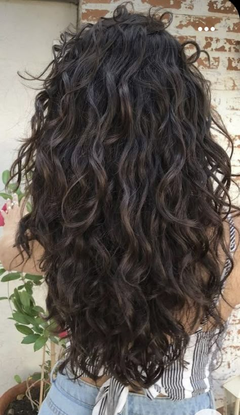 Brunette Hair Inspiration, Wavy Hair 2b, Brunette Curly Hair, Long Curly Haircuts, Black Wavy Hair, Natural Curly Hair Cuts, Hair 2024, Haircuts For Wavy Hair, Medium Long Hair