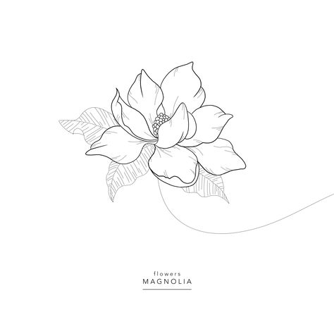 Flowers ⚘ Magnolia ⚘ Magnolia Magnolia Simple Tattoo, Magnolia Tattoo Design Drawing, Simple Magnolia Drawing, Southern Magnolia Tattoo, Magnolia Flower Drawing, Magnolia Drawing, Magnolia Tattoos, Flowers Magnolia, Magnolia Tattoo