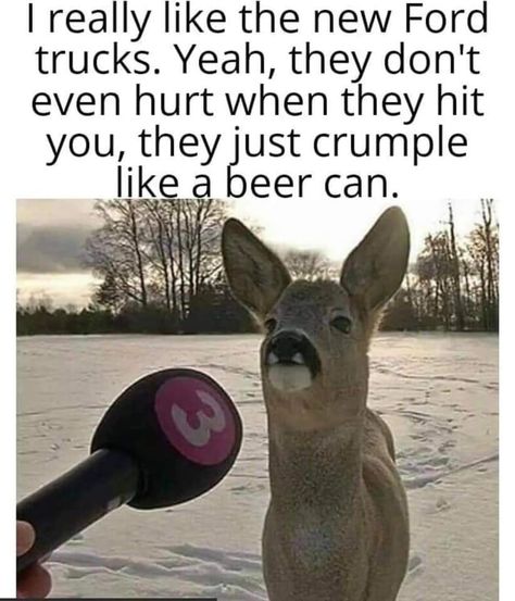 Deer speaks truth! .⁠ Like and share for more car content!⁠ .⁠ .⁠ #mountainfirewheels⁠ #jdmmemes #hondacivic #2020 #coronamemes #carmemes #memes #dankmemes #carsofinstagram #cars #carenthusiasts #tread #corona #memes #savagememes #dankmemes #dankmemesdaily #funnymemes #memesdaily #memes😂 Deer Meme, Memes Humor, Life Pictures, Disney Funny, Fan Fiction, Really Funny Memes, Health Insurance, Animal Memes, New Memes