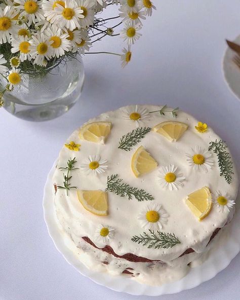 Cottagecore Cake Aesthetic, Cottagecore Birthday Cake, Cottage Core Cakes, Cottage Core Cake, Cottagecore Cake, Instagram Content Creator, Summer Cakes, Pretty Dessert, Cute Baking