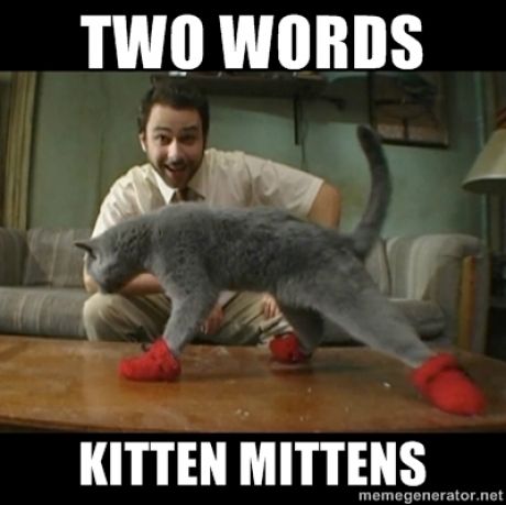 you'll be smitten Kitten Mittens, Charlie Day, Knitting Diy, International Cat Day, It's Always Sunny In Philadelphia, Always Sunny, Sunny In Philadelphia, College Kids, It's Always Sunny