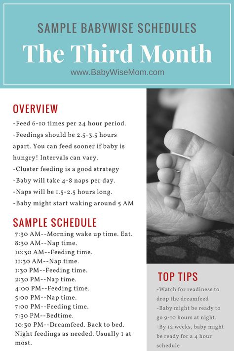 Sample Babywise Schedules: The Third Month | #babywise #babyschedule #babywisesleepschedule | babywise | babywise schedule | babywise sleep schedule Babywise Schedule, Baby Wise, Newborn Schedule, Baby Schedule, Baby Sleep Schedule, Pumping Moms, Baby Sleep Problems, Sleep Schedule, Baby Arrival