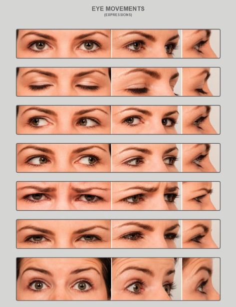 Eye Reference, Eye Study, Eye Expressions, Drawing Face Expressions, Face Anatomy, Expressions Photography, 얼굴 드로잉, Face Drawing Reference, Anatomy For Artists