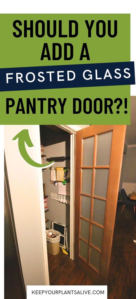 Considering adding a glass door to your kitchen? Here are some of the pros and cons of frosted pantry doors! Frosted Glass Pantry Door, Pantry Space, Glass Pantry Door, Glass Pantry, Organized Pantry, Frosted Glass Door, Pantry Doors, Diy Pantry, Small Pantry