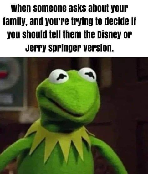 Sweet Memes, Funny Mean Quotes, Jerry Springer, Kermit Funny, Funny Ha Ha, Funny Cartoon Quotes, Need A Laugh, Cartoon Quotes, Sarcastic Quotes Funny