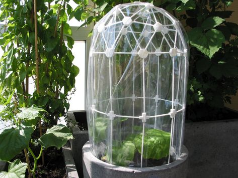 Greenhouse-Dome+(clickable)+/+Treibhausdom+by+graph. 3d Printed Greenhouse, Greenhouse Dome, Greenhouse Diy, Small Greenhouse, Small Backyard Gardens, 3d Printing Projects, Mini Greenhouse, Diy Greenhouse, Greenhouses