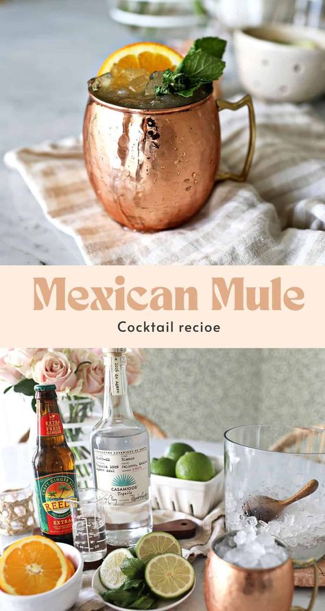 Mexican Mule Cocktail Mexican Mule Recipe, Strawberry Margarita Jello Shots, Mexican Mule, Baileys Irish Cream Recipes, Irish Cream Recipe, Mexican Cocktails, Homemade Margaritas, Peach Margarita, Coconut Margarita