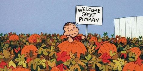 Classic Halloween Movies, Halloween Movies To Watch, It's The Great Pumpkin Charlie Brown, Great Pumpkin Charlie Brown, Best Halloween Movies, It's The Great Pumpkin, Charlie Brown Halloween, Peanuts Halloween, The Great Pumpkin