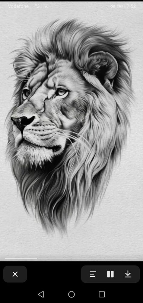 Lion Tattoo Sketch Design, Lion Lioness Tattoo Design, Realism Lion Tattoo Design, Lion Head Tattoos For Women, Lion Realism Tattoo, Lion Tattoo Drawing Sketches, Roaring Lion Tattoos For Men, Lion Design Tattoo, Lion Drawing Tattoo