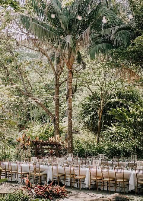 Costa Rica may be known for its rainforests and beaches, but it actually boasts some beautiful botanical gardens too. And this is exactly the setting Gabi and Charlie chose for their boho chic wedding with a focus on native tropical blooms and tearjerker wedding day moments. We are covering their full wedding story on the blog now! Wedding In Costa Rica, Jungle Wedding Aesthetic, Tropical Destination Wedding Decor, Forestcore Wedding, Costa Rica Wedding Dress, Costa Rican Wedding, Costa Rica Beach Wedding, Tropical Garden Wedding, Rainforest Wedding