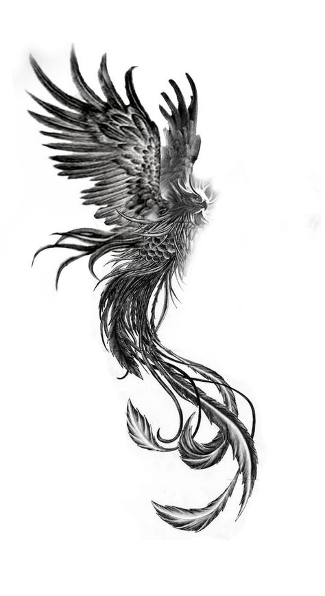 Phoenix Tattoo Back Of Leg, Phoenix Bird Tattoos Men Forearm, Phinex Bird Tattoo, Phoniex Tattoo Design, Realistic Phoenix Tattoo, Phoenix Tattoo Design Men, Fantasy Tattoo Sleeve, Feniks Tattoo, Phoenix Tattoo Men