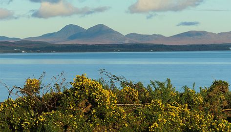 Distant Paps of Jura behind Gorse on the shore of Loch Indaal, Isle of Islay Isle Of Islay, Cloudy Weather, Scottish Islands, Scottish Landscape, Fishing Boats, Places To Visit