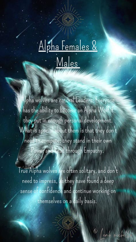 Everyone has the ability to become an Alpha Wolf if they put in enough personal development. Alphas stand in their own Power & lead through Empathy. Wolf Quotes Alpha Female, Alpha Wolf Quotes, Alpha Wolf Tattoo, Wolf Personality, Alpha Female Wolf, Wolf Mentality, Wolf Meaning, Alpha Meaning, Spirit Animal Wolf