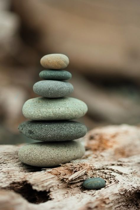 Stone Balancing, Stone Cairns, Zen Rock, Balance Art, Rock And Pebbles, Pebble Stone, Beautiful Rocks, Love Rocks, Sticks And Stones