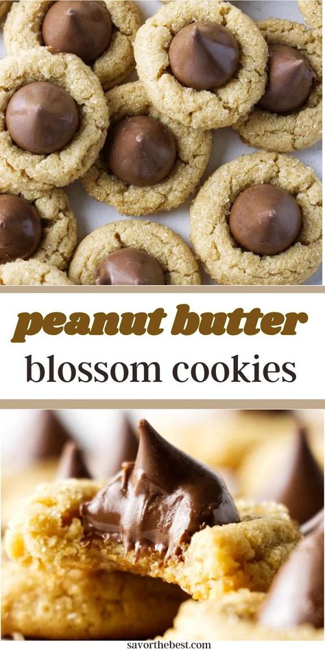 Get ready to put those Hershey’s kisses to work with this classic cookie recipe. Soft, chewy peanut butter cookies topped with a chocolate kiss—because every cookie deserves a crown, right? Toll House Super Soft Peanut Butter Cookies, Star Peanut Butter Cookies, Peanut Butter Kiss Cookies Easy, Peanut Butter Cookie With Hershey Kiss, Kisses Cookies Recipe, Kiss Cookies Hershey, Peanut Butter Kiss Cookie Recipe, Hershey Kiss Cookies Recipe, Hershey Kisses Recipes