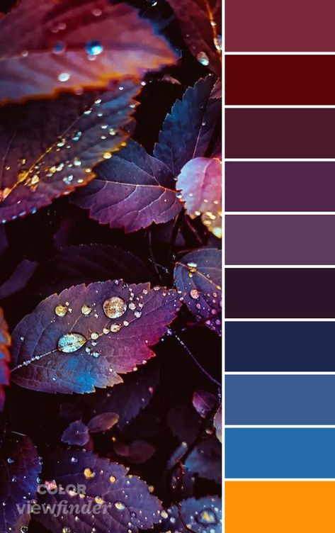 Jewel Colour Palette, Jewel Tone Aesthetic, Dark Jewel Tone Color Palette, Witchy Color Palette, Gothic Color Palette, Jewel Tone Color Scheme, Palette Cake, Deep Jewel Tones, Jewel Tones Palette