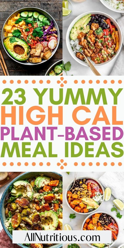 High Calorie Vegan Meals, High Calorie Vegan, High Calorie Lunches, Vegan Weight Gain, High Calorie Smoothies, High Protein Vegan Recipes, Weight Gain Meals, High Calorie, Vegetarian Meal Prep