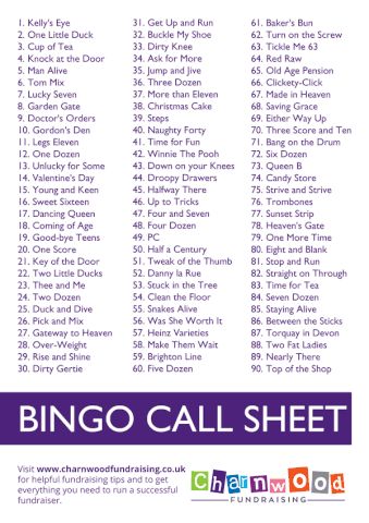 Bingo Prize Ideas, Silent Auction Fundraiser, Bingo Caller, Bingo Calls, Bingo Patterns, Friends Of The Library, Color By Number Printable, Bingo Night, Kitty Party Games