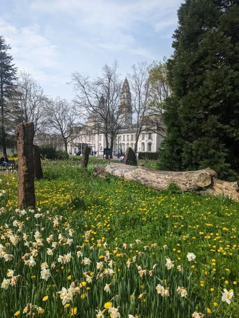 Spring, old beautiful building, classic, tourist, UK, posh Cardiff Wales Aesthetic, Cardiff Aesthetic, Manifesting School, Wales Aesthetic, Cardiff Uni, Life In Uk, Grateful For My Life, Cardiff Bay, England Aesthetic