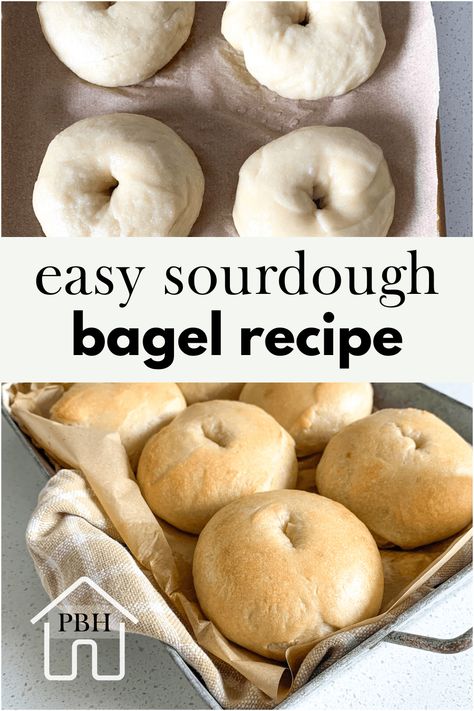 Best Sourdough Bagels (soft, easy, small batch recipe) Bagels Recipe Homemade, Sourdough Bagels Recipe, Use Sourdough Starter, Sourdough Bagel, Sourdough Pancakes Recipe, Easy Dinner Desserts, Basic Bread Recipe, Simple Sourdough, Bagels Recipe