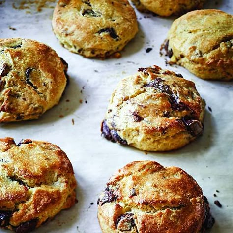 Chocolate Pecan Scones - Barefoot Contessa Chocolate Pecan Scones, Dessert Recipes For Christmas, Pecan Scones, Best Ina Garten Recipes, Ina Garden, Barefoot Contessa Recipes, Scone Recipes, Ina Garten Recipes, Food Network Canada