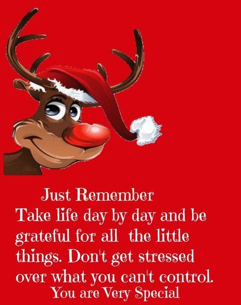 Happy Christmas Quotes, Christmas Morning Quotes, Family On Christmas, Christmas Quotes Inspirational, Christmas Verses, December Quotes, Christmas Thoughts, Happy Day Quotes, Family Peace