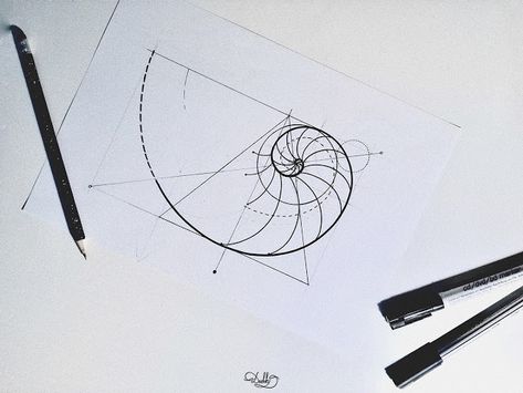 Fibinocci Spiral Tattoo, Pv Tattoo, Fibonacci Spiral Tattoo, Fibonacci Spiral Art, Golden Ratio Tattoo, Spiral Tattoo, Geometric Compass, Fibonacci Tattoo, Good At Math