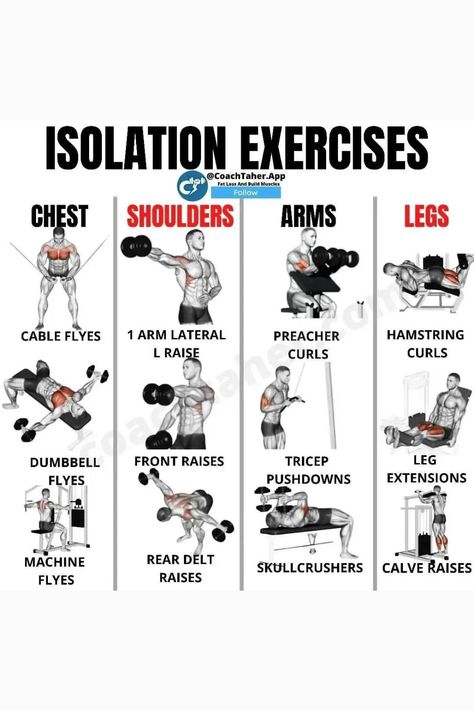 Back Isolation Exercises, Tricep Isolation Exercises, Chest Isolation Exercises, Chest Isolation Workout, Muscle Isolation Workout, Compound Vs Isolation Exercises, Isolation Workouts, Personal Training Workouts, Upper Body Workout Gym