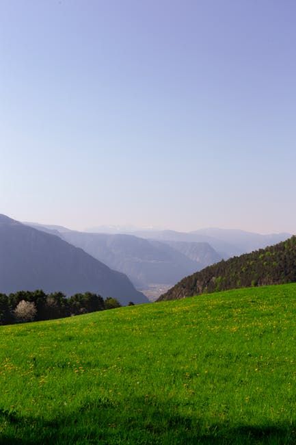 Nature Education, Grasses Landscaping, Green Field, Nature Hikes, Green Pasture, Grass Field, Fields Photography, Landscaping Tips, Nature Garden